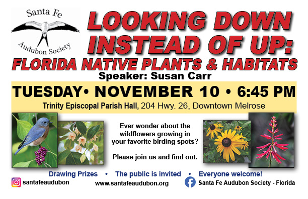 Florida native plants and habitats