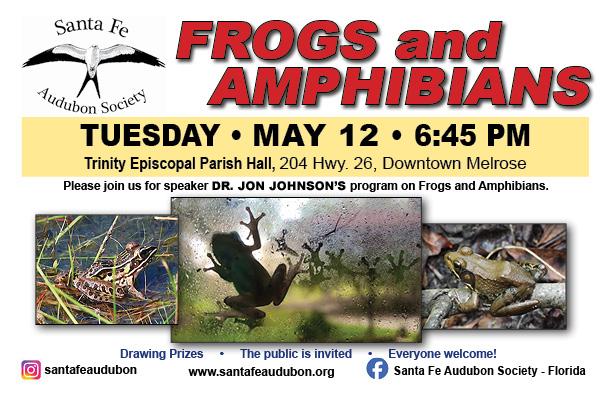 Frogs and Amphibians Speaker Series