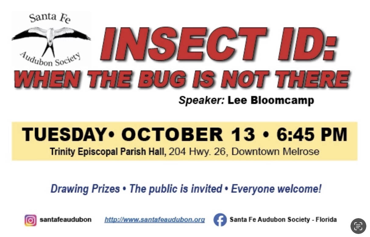 Program - Insect ID